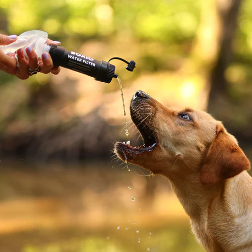 BOXIO WATER FILTER SYSTEM