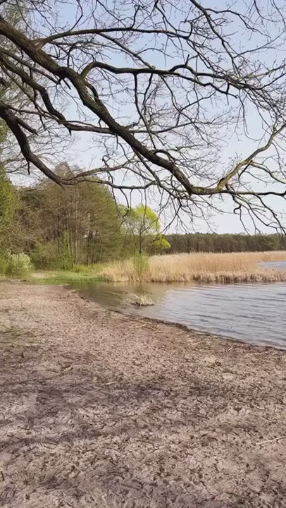 MoonBox KitchenBox - Transportabel køkkenboks